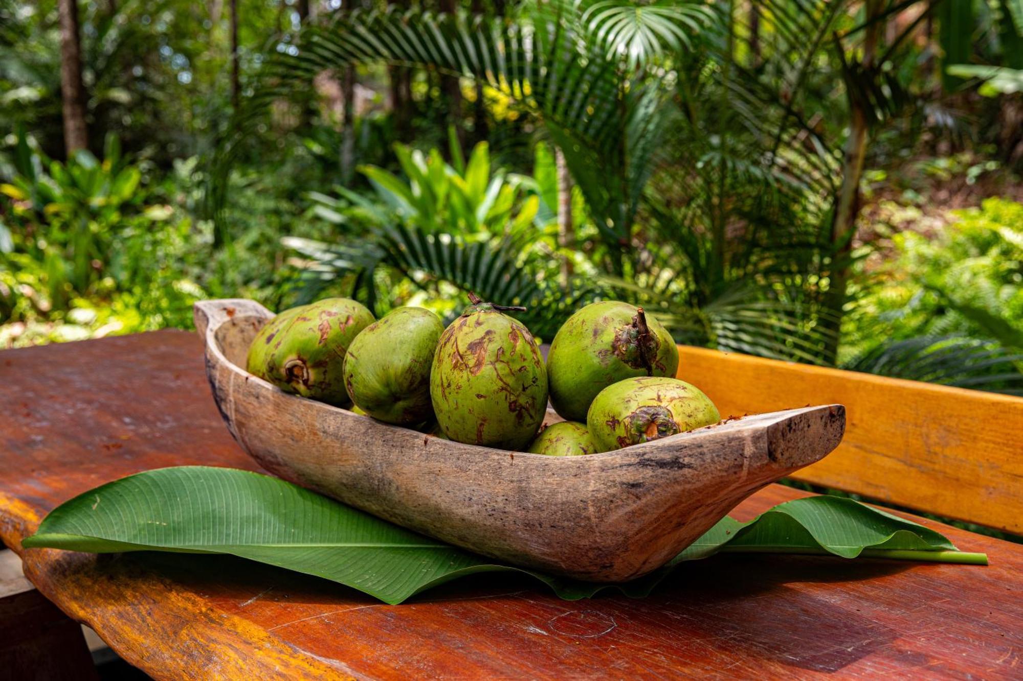 Vila Morena Altos De Itapororoca Trancoso Zewnętrze zdjęcie